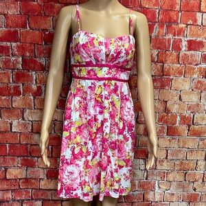 City‎ Triangles Pink Floral Apron Dress